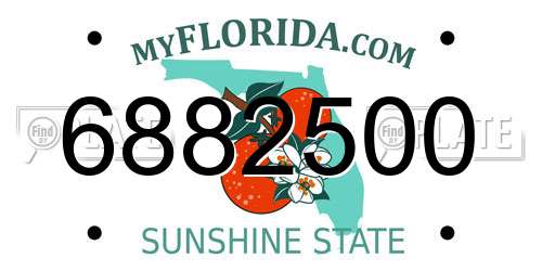 6882500 Florida License Plate