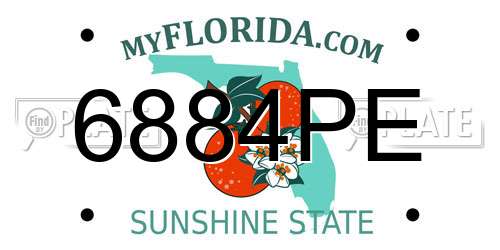 6884PE Florida License Plate