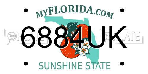 6884UK Florida License Plate