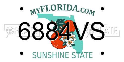 6884VS Florida License Plate