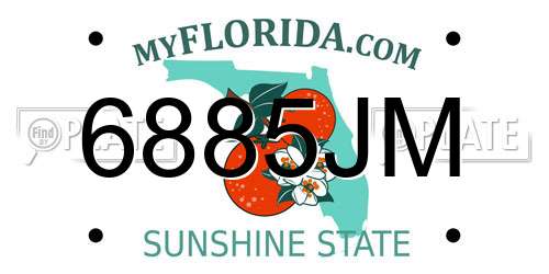 6885JM Florida License Plate