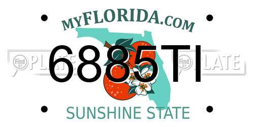 6885TI Florida License Plate