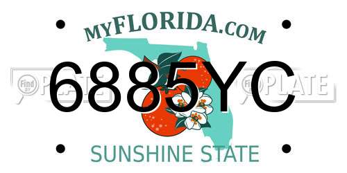 6885YC Florida License Plate