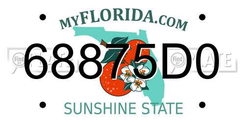 68875D0 Florida License Plate
