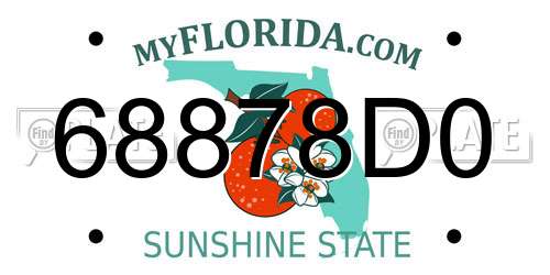 68878D0 Florida License Plate