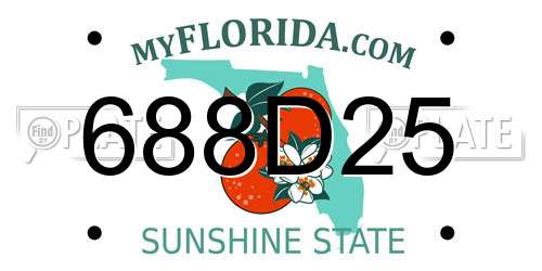 688D25 Florida License Plate
