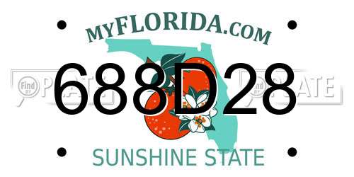 688D28 Florida License Plate