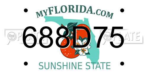 688D75 Florida License Plate