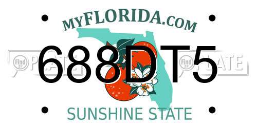 688DT5 Florida License Plate