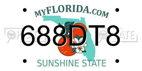 688DT8 Florida License Plate