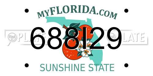 688I29 Florida License Plate