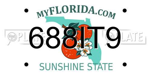 688IT9 Florida License Plate
