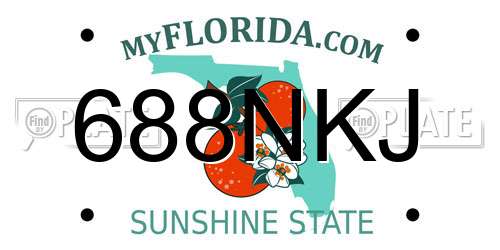 688NKJ Florida License Plate