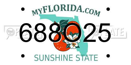 688O25 Florida License Plate