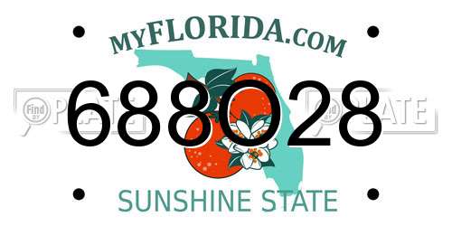 688O28 Florida License Plate