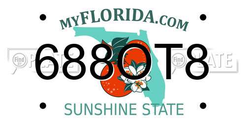 688OT8 Florida License Plate