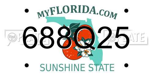 688Q25 Florida License Plate