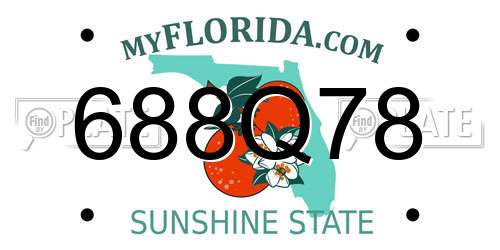 688Q78 Florida License Plate