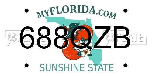 688QZB Florida License Plate