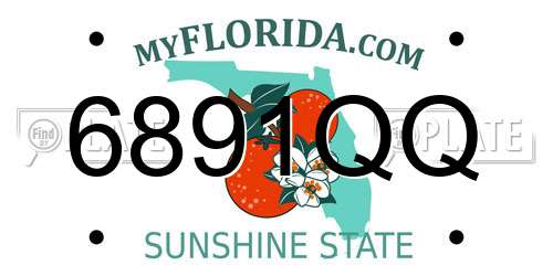 6891QQ Florida License Plate
