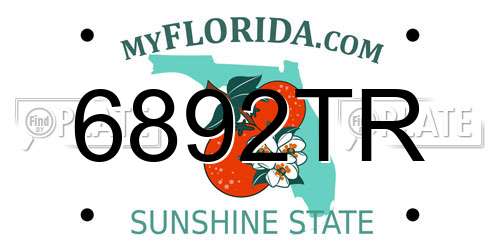 6892TR Florida License Plate