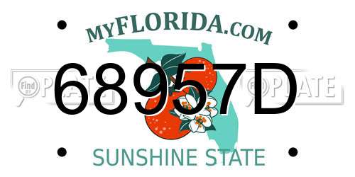 68957D Florida License Plate