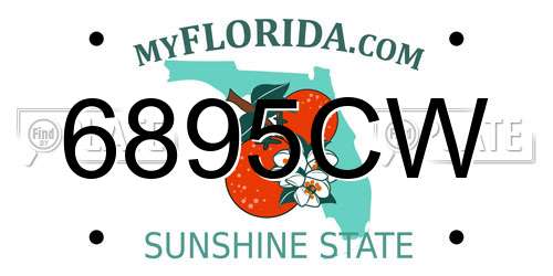 6895CW Florida License Plate