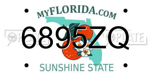 6895ZQ Florida License Plate