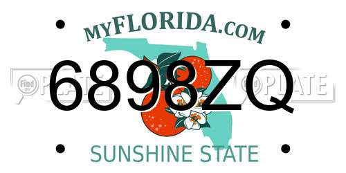 6898ZQ Florida License Plate