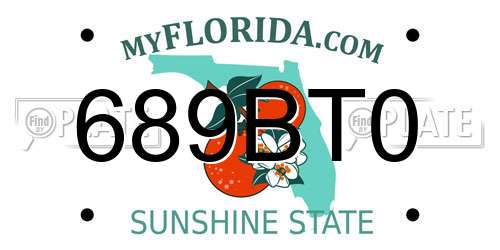 689BT0 Florida License Plate