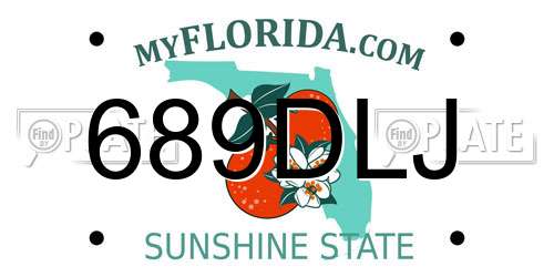 689DLJ Florida License Plate