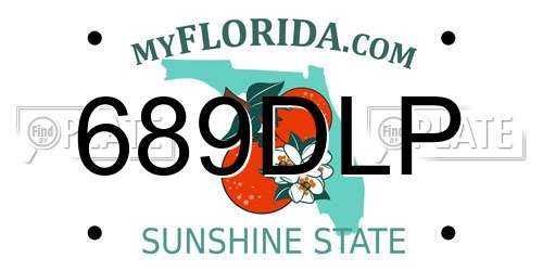 689DLP Florida License Plate