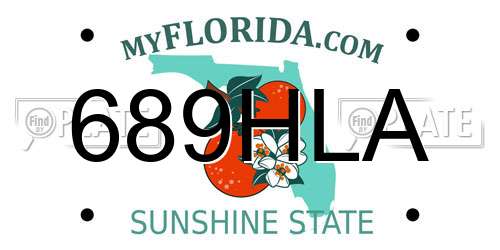 689HLA Florida License Plate