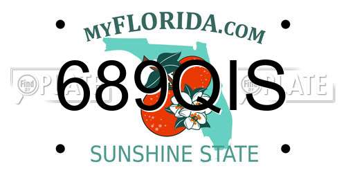 689QIS Florida License Plate