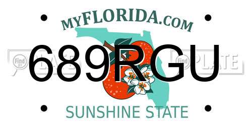 689RGU Florida License Plate