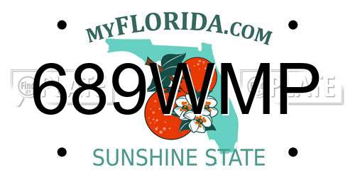 689WMP Florida License Plate