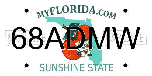 68ADMW Florida License Plate