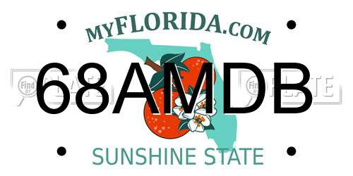 68AMDB Florida License Plate