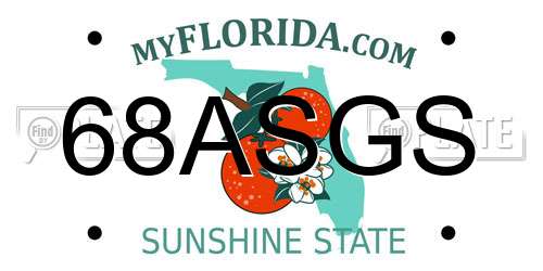 68ASGS Florida License Plate
