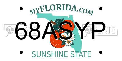 68ASYP Florida License Plate