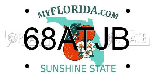 68ATJB Florida License Plate