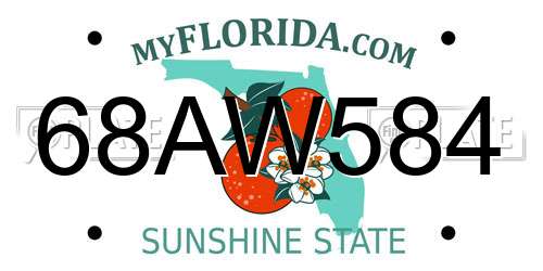 68AW584 Florida License Plate