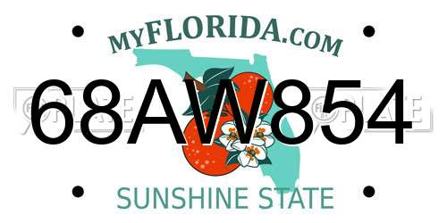 68AW854 Florida License Plate