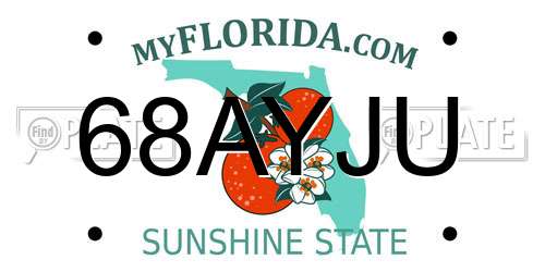 68AYJU Florida License Plate