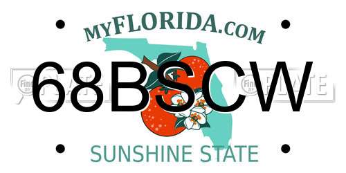 68BSCW Florida License Plate
