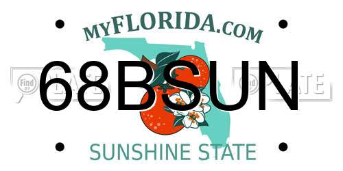 68BSUN Florida License Plate