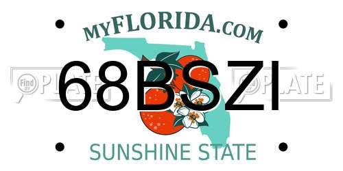 68BSZI Florida License Plate