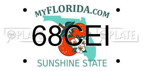 68CEI Florida License Plate