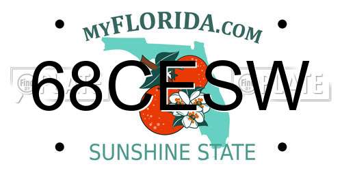 68CESW Florida License Plate