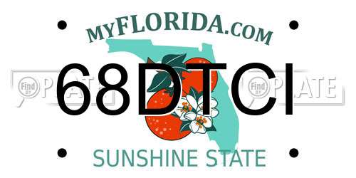 68DTCI Florida License Plate